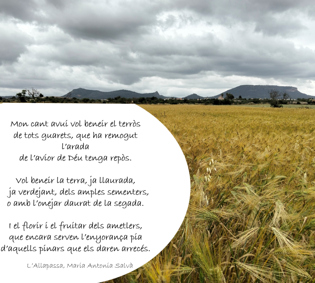 Els camps de la Cooperativa